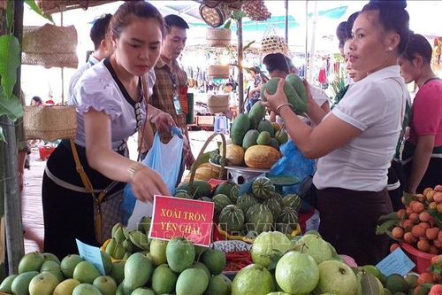 Ban hành bộ tiêu chí, mẫu thiết kế cho điểm giới thiệu và bán sản phẩm OCOP