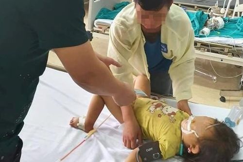 Đang trên đường đi học về, bé gái 3 tuổi bị ong đốt tử vong