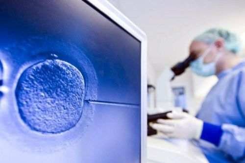 Vụ 'trộm phôi trữ đông': Bộ Y tế yêu cầu kiểm điểm trách nhiệm cá nhân, đơn vị liên quan