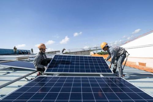 Nghịch lý điện mặt trời: gần 50% công suất bị 'đổ bỏ'
