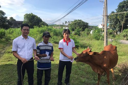 Công ty TNHH Duyên Hà: Trao tặng 5 con bò giống cho người dân xã Khánh Đông