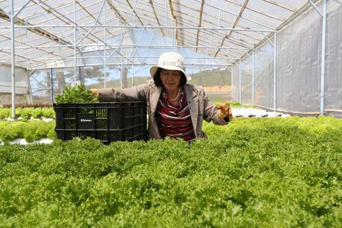 Chuyển biến từ những mô hình kinh tế hiệu quả ở Lạc Dương