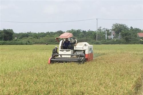Sản xuất nông nghiệp thông minh thích ứng với biến đổi khí hậu