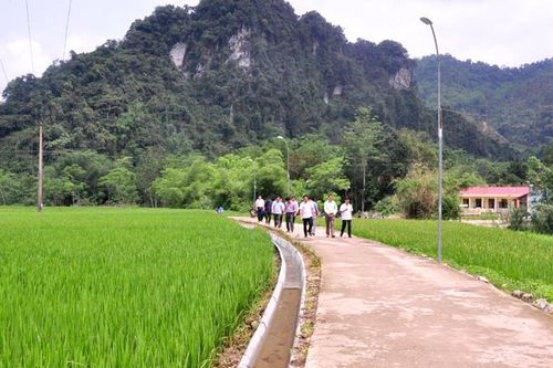 Kiên cố hóa kênh mương nội đồng về đích sớm