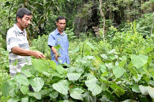 Bí thư chi bộ miệng nói, tay làm
