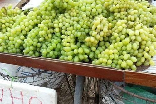 Ăn nho xanh không hạt: Đừng ham rẻ vì ảnh hưởng sức khỏe!