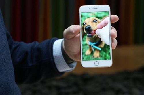 Apple sắp ra mắt iPhone giá rẻ?