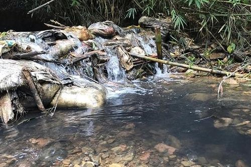 Đề nghị điều tra xử lý trách nhiệm của lãnh đạo Viwasupco