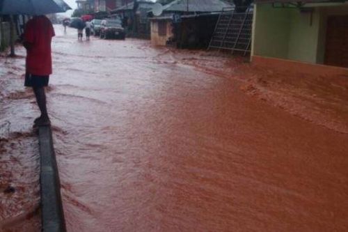 Cameroon: Hơn 100.000 người ảnh hưởng do lũ tại vùng Cực Bắc