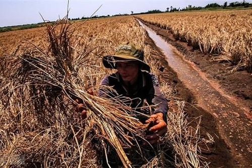Những mảnh đời vất vưởng sau hàng trăm con đập dọc dòng Mê-Kông