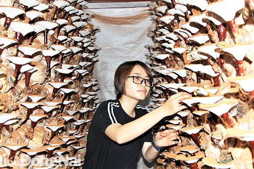 Sát cánh cùng thanh niên trong lập thân, lập nghiệp