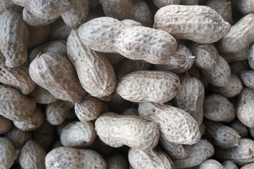 Bán đậu phộng giá 'trên trời'