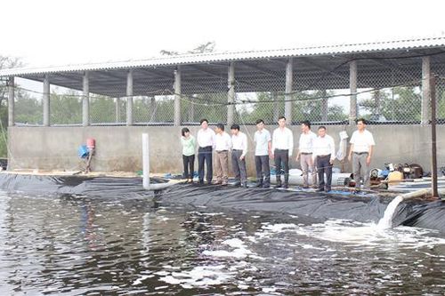 Hội thảo mô hình nuôi tôm thâm canh hai giai đoạn công nghệ Biofloc