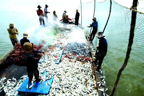 Tổng sản lượng thủy sản 9 tháng đầu năm đạt gần 6.000 nghìn tấn
