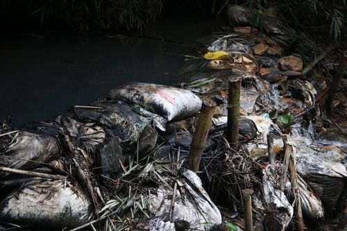 Dòng suối gần nhà máy nước sông Đà vẫn đen kịt sau 1 tuần bị đổ dầu