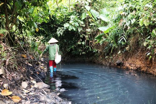 Vụ nước nhiễm dầu thải: 'Thủ tướng không hài lòng việc che đậy sự cố'