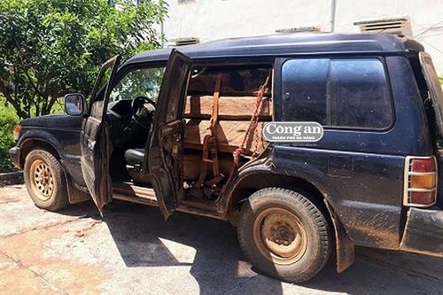 'Gỗ lậu' đi lạc?