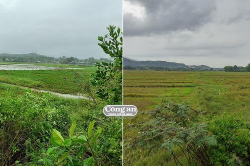Những dự án quy hoạch 'chơi'?