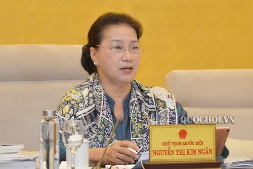 Đưa hộ kinh doanh vào Luật Doanh nghiệp: Cần cân nhắc kỹ vì hàng triệu hộ bị ảnh hưởng
