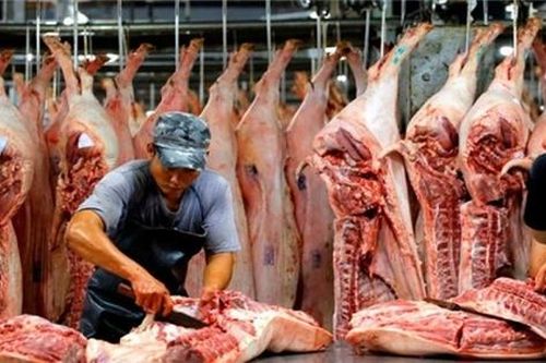 Phó Thủ tướng đề xuất tăng nhập khẩu thịt lợn để bình ổn giá