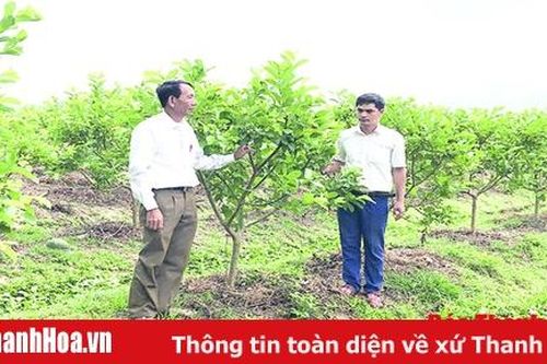Huyện Triệu Sơn phát huy vai trò tiên phong gương mẫu của cán bộ, đảng viên