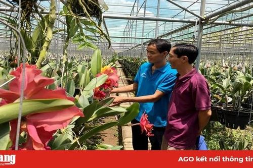 Nông dân An Thạnh Trung thi đua sản xuất - kinh doanh giỏi