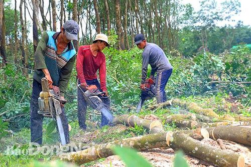 Sức ép và quyết tâm