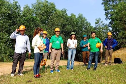 Không ngừng mở rộng diện tích rừng FSC