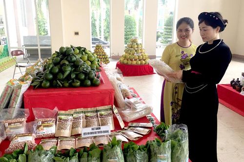 Tuyên Quang có 43 nông sản tham gia Festival OCOP toàn quốc lần thứ I