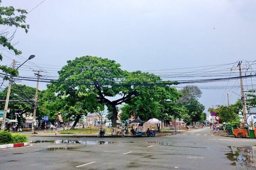 Cử tri Long An ủng hộ sắp xếp đơn vị hành chính cấp xã