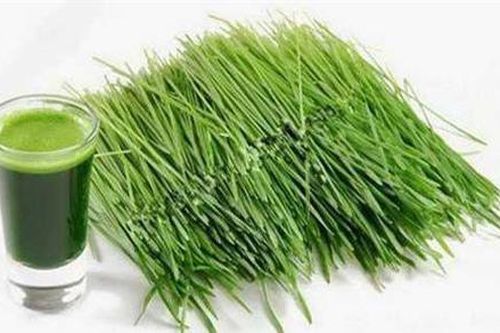 Lá hẹ xoa vào nướu có giúp trẻ giảm đau khi mọc răng?