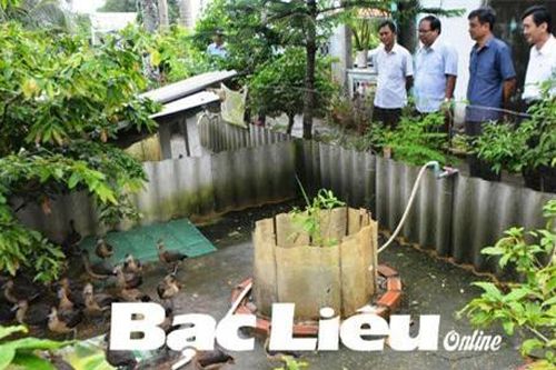 Bạc Liêu: Nuôi loài không phải ngan, chẳng phải vịt, thịt ngon, làm cảnh hay, thu nhập cao