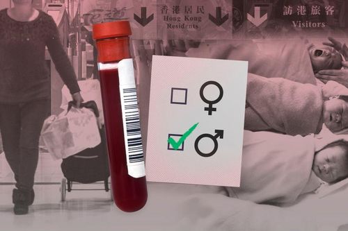 Vận chuyển máu lậu ở Trung Quốc: Vì sao thai phụ phá luật để biết trước giới tính thai nhi?
