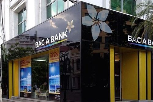 Bac A Bank lãi 646 tỷ sau 9 tháng, đạt 70% kế hoạch năm