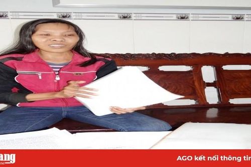 Tiếp tục khiếu nại tòa án phán quyết 'trả phần đất cho ở nhờ'
