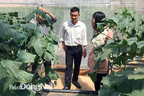 Người mang thực phẩm sạch vào trường học