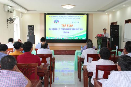 Tập huấn 'Biện pháp lâm sinh trong phát triển rừng trồng'
