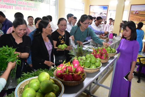 Khai trương Cửa hàng trưng bày giới thiệu sản phẩm đặc trưng huyện Gio Linh