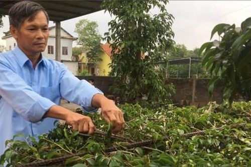 Chính trị - Xã hội Chính trị - Xã hội Nhà nông tương thân, tương ái