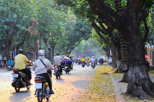 Hà Nội nhiều mây, sáng sớm và chiều tối có mưa rào rải rác