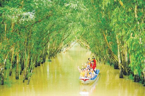 Rừng tràm Trà Sư - điểm đến 'xanh' của An Giang