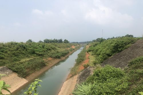 Ðề xuất quan trắc độc tố tại đầu nguồn nước sông Ðà