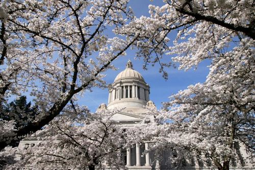 Tin tặc Nga đột nhập vào Đại sứ quán châu Âu tại Washington