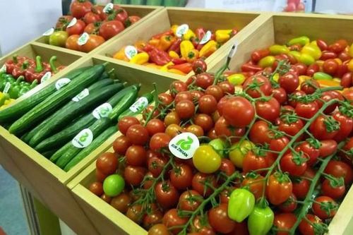 Chính phủ 'kiên định' chỉ tiêu nhập siêu