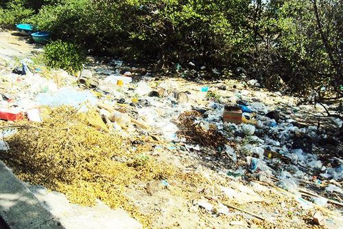 Rác tập kết nơi bờ kè