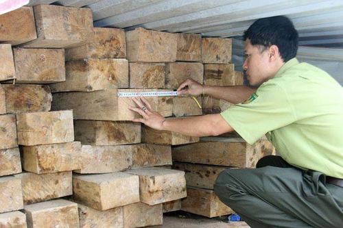 Đơn Dương và công tác bảo vệ, quản lý rừng