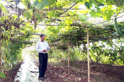 Hợp Tiến: Điểm sáng hợp tác xã kiểu mới