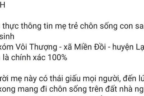 Người đăng tin bịa đặt 'mẹ chôn sống con' ở Hòa Bình có bị xử lý hình sự?