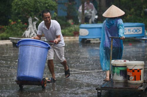 Chuyên gia nghi vấn về chất lượng nước Viwasupco cấp sau vụ nhiễm dầu
