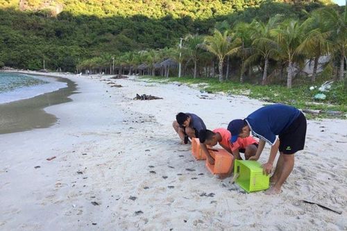 Phát triển hài hòa giữa kinh tế và bảo tồn biển